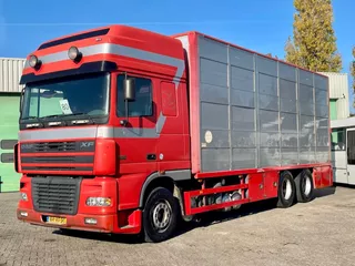 DAF XF 95.430 BERDEX 3 decks. Water, fans, Scales! Excellent condition.